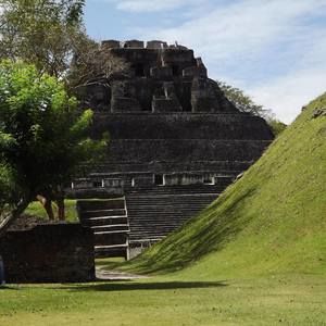 Meet your Posher, Ronnie